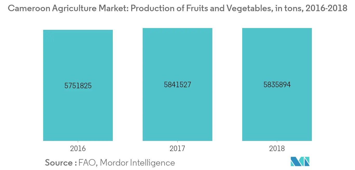 Cameroon Agriculture Market - Production of Fruits and Vegetables, in tons, 2016-2018