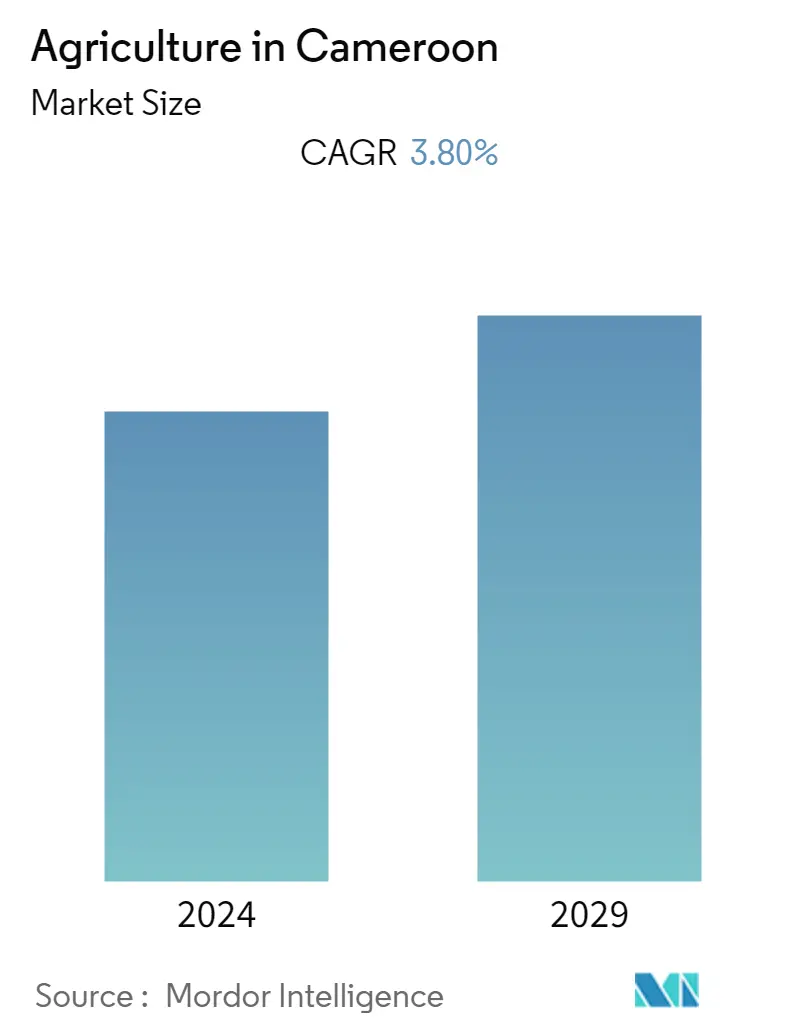 Cameroon Agriculture Market Summary