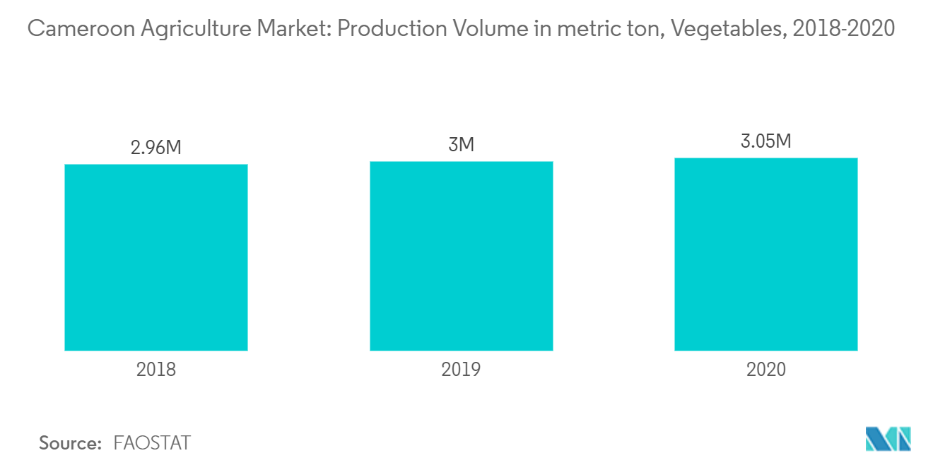 Cameroon Agriculture Market: Production Volume in metric ton, Vegetables, 2018-2020