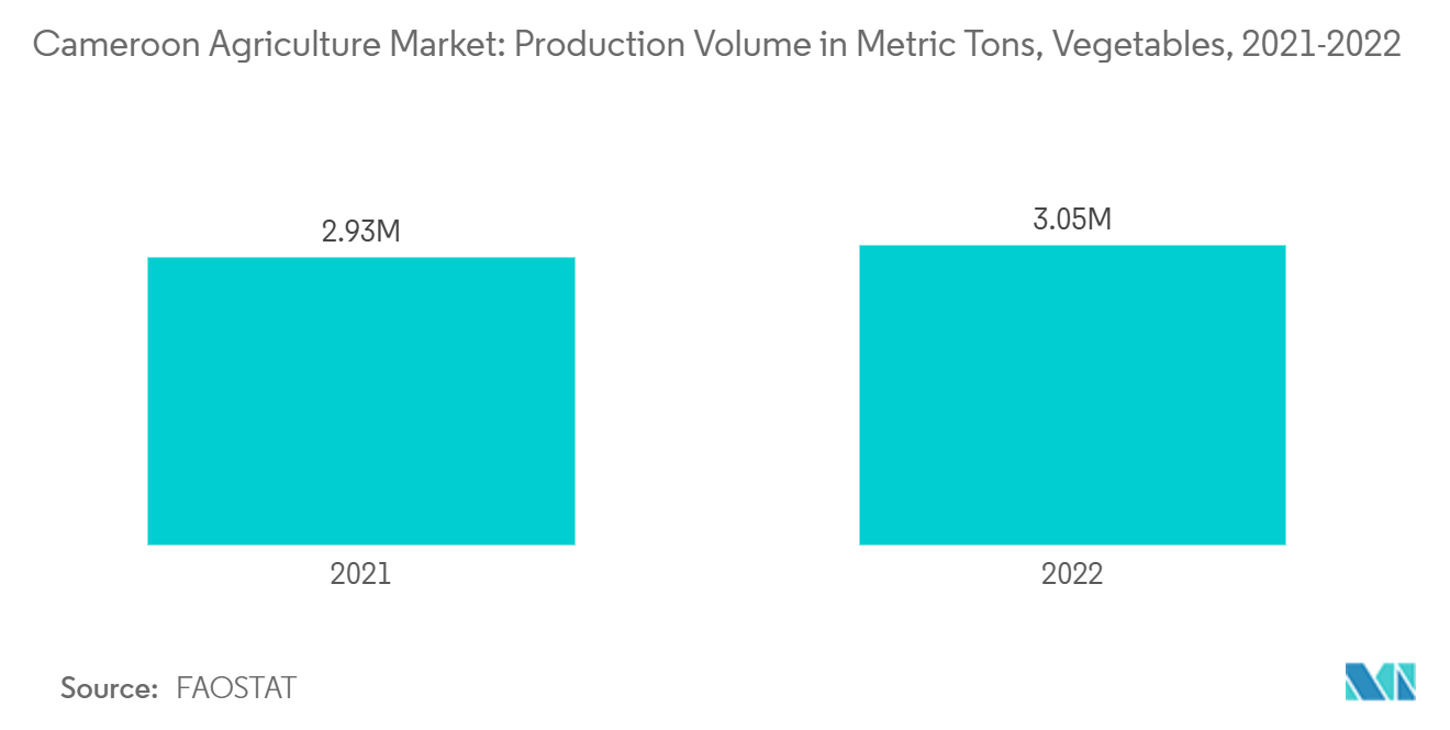 Cameroon Agriculture Market: Production Volume in Metric Tons, Vegetables, 2021-2022