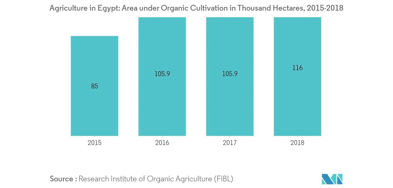 agriculture-in-egypt