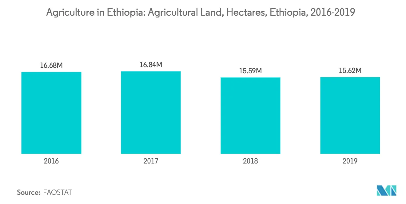 Agriculture in Ethiopia Key Trends