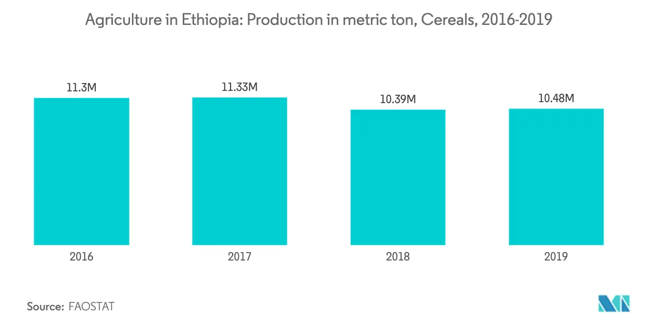 Agriculture in Ethiopia Growth