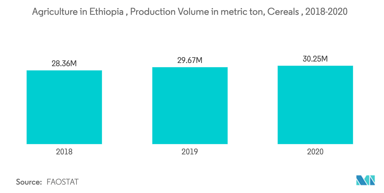 agriculture in Ethiopia - production of cereals