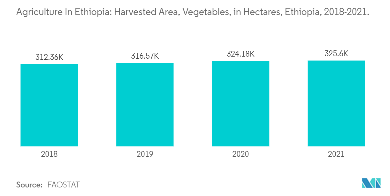 Agricultura na Etiópia: Área Colhida, Legumes, em Hectares, Etiópia, 2018-2021