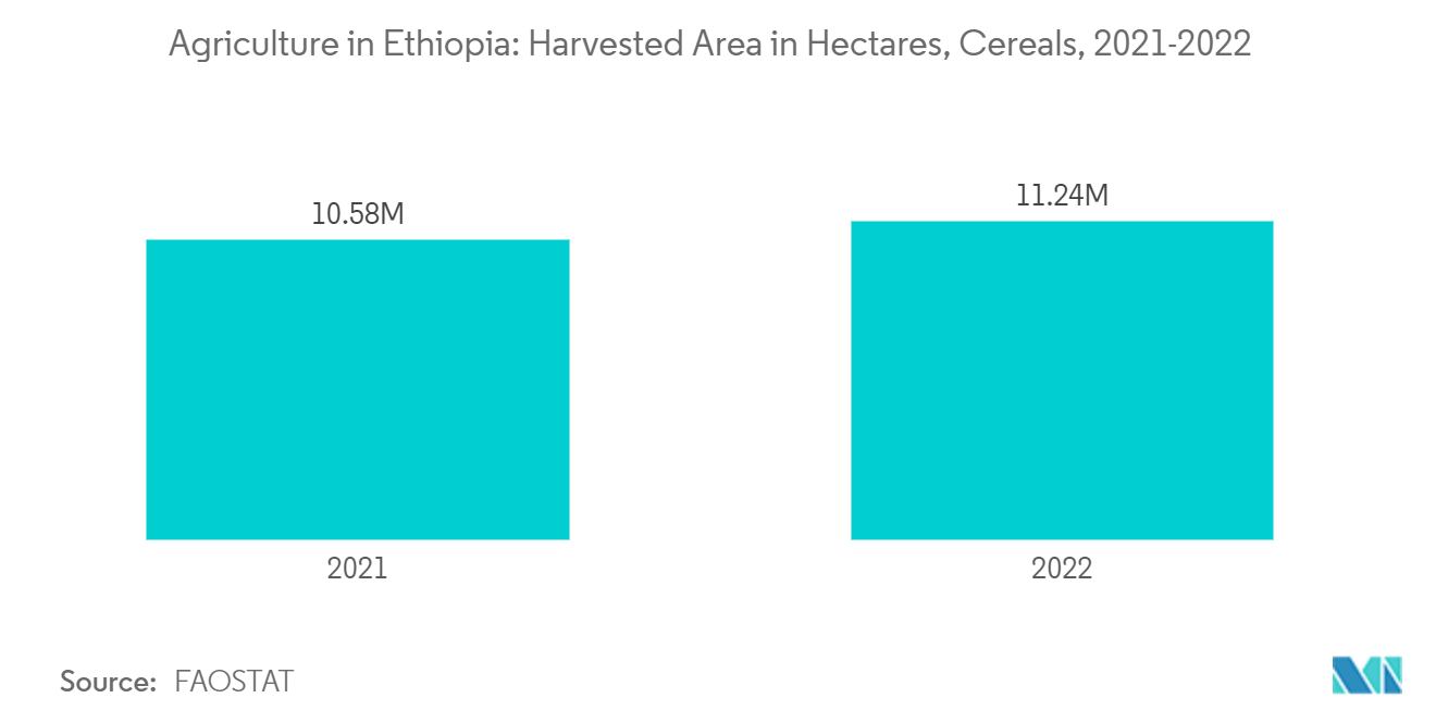 Agriculture in Ethiopia: Harvested Area in Hectares, Cereals, 2021-2022