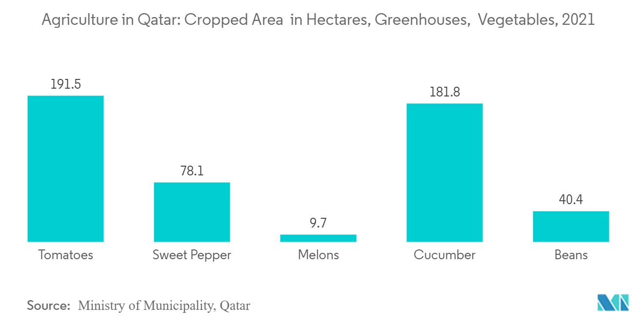 Qatar Agriculture Market - Agriculture in Qatar: Cropped Area in Hectares, Greenhouses, Vegetables, 2021