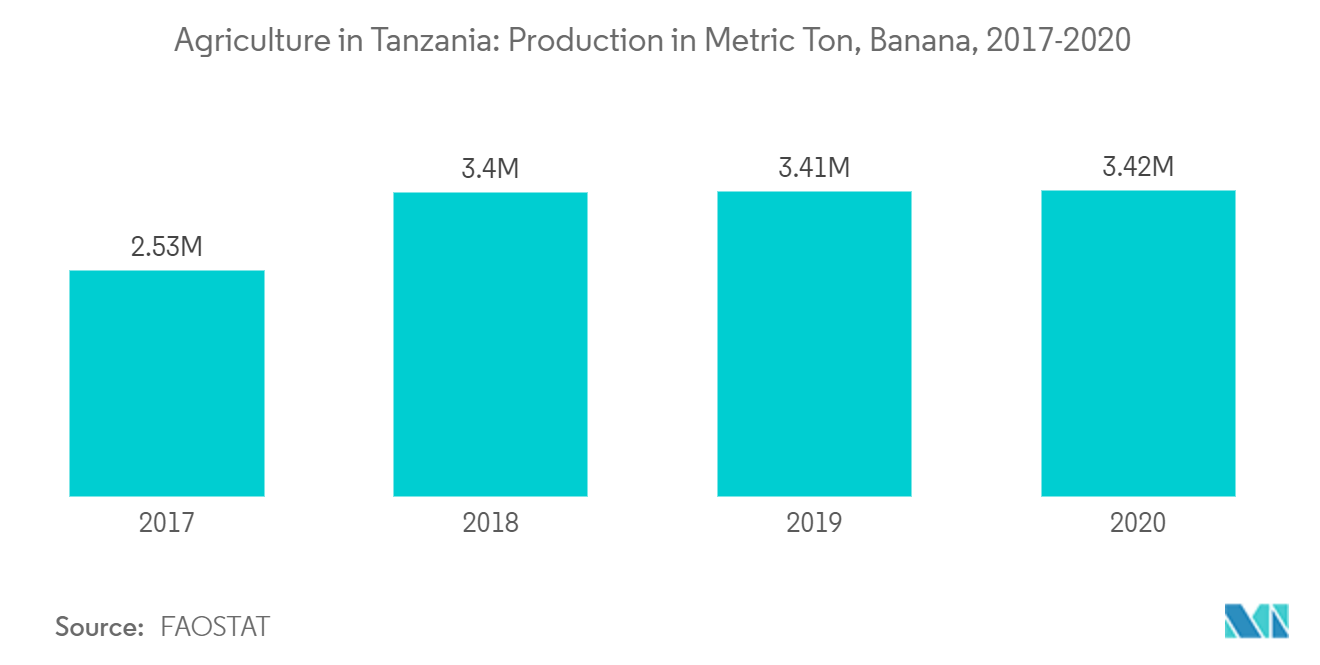 banana production in Tanzania