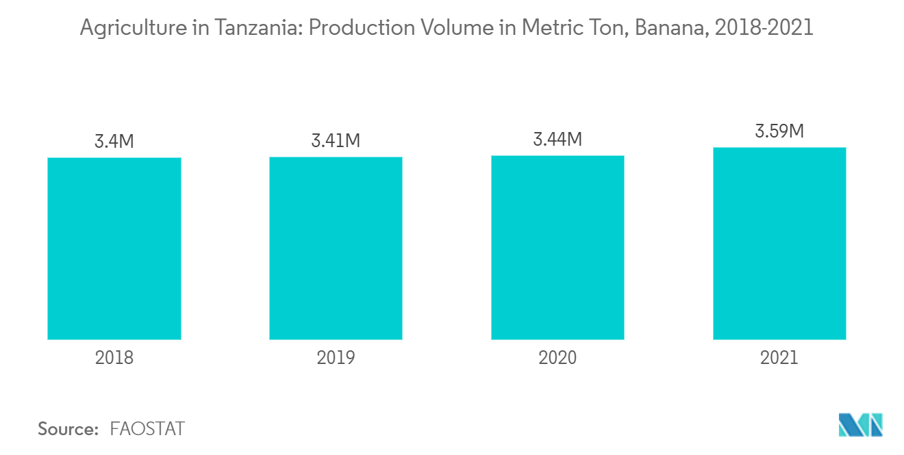 Agriculture Market in Tanzania: Production Volume in Metric Ton, Banana, 2018-2021