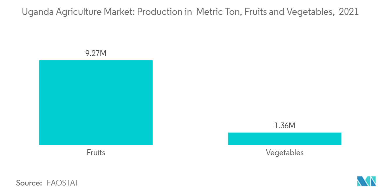 Uganda Agriculture Market: Production in  Metric Ton, Fruits and Vegetables, 2021