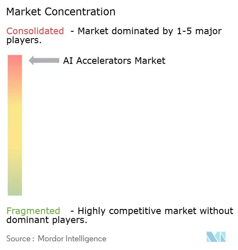 AI Accelerators Market Concentration