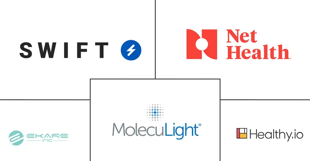 Major players in AI-enabled Wound Analysis industry