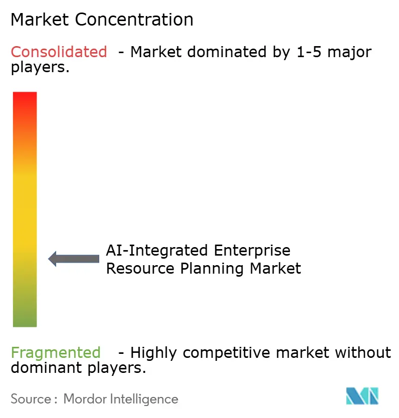 AI-Integrated Enterprise Resource Planning Market Concentration