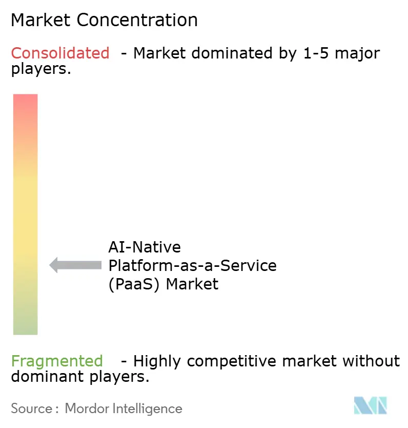 AI-Native Platform-as-a-Service (PaaS) Market Concentration