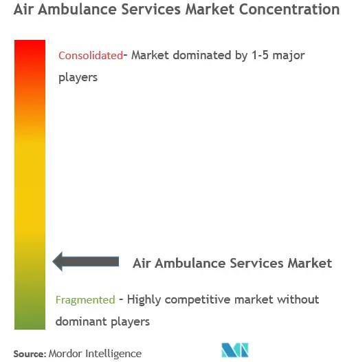 Air Ambulance Services Market Concentration