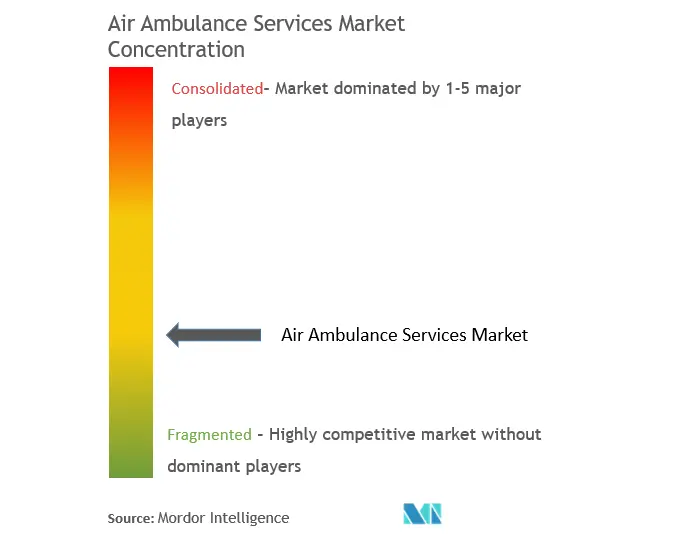 航空救急サービス市場の集中度