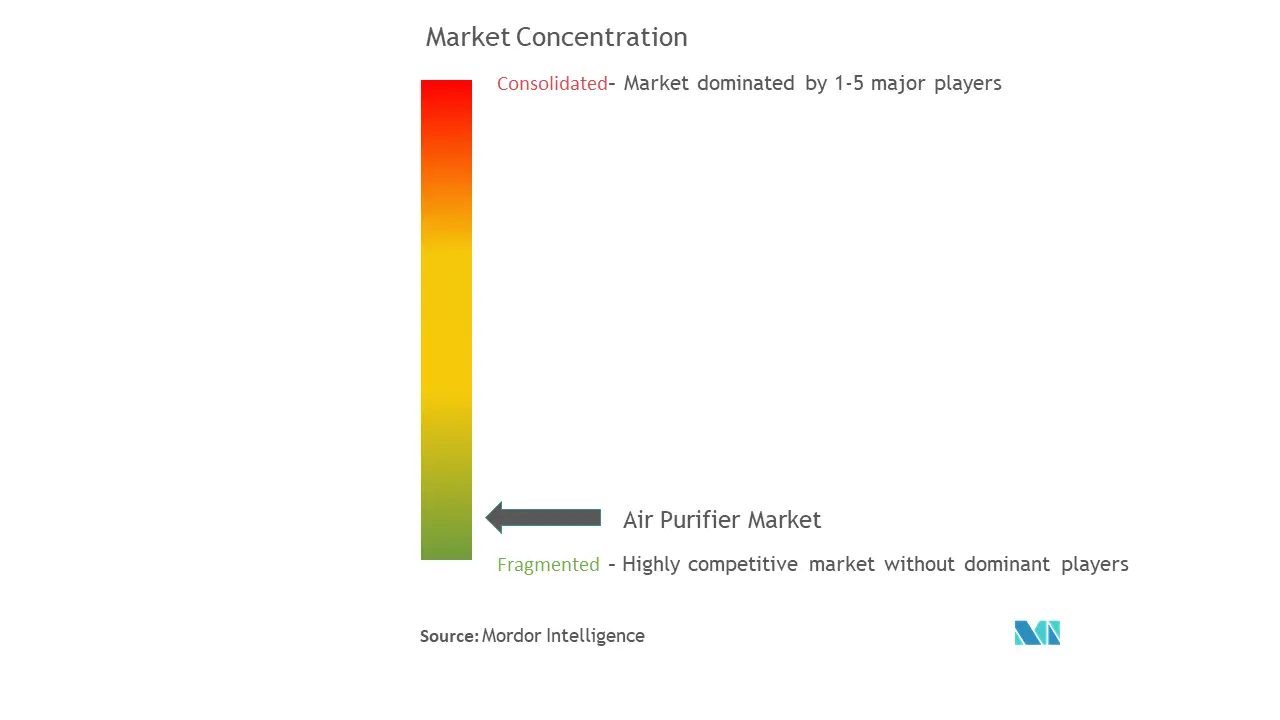 Air Purifier Market Concentration