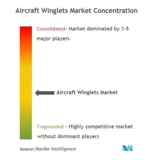 Aircraft Winglets Market Concentration