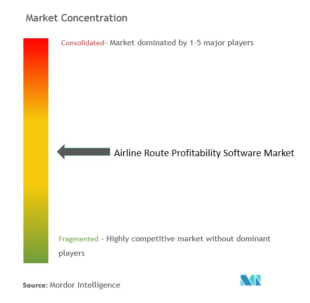 Airline Route Profitability Software Market Concentration