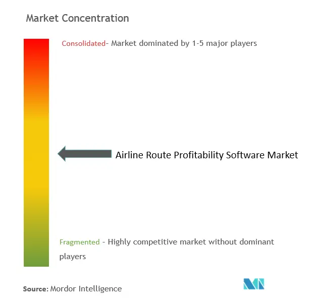 Concentración del mercado de software de rentabilidad de rutas aéreas