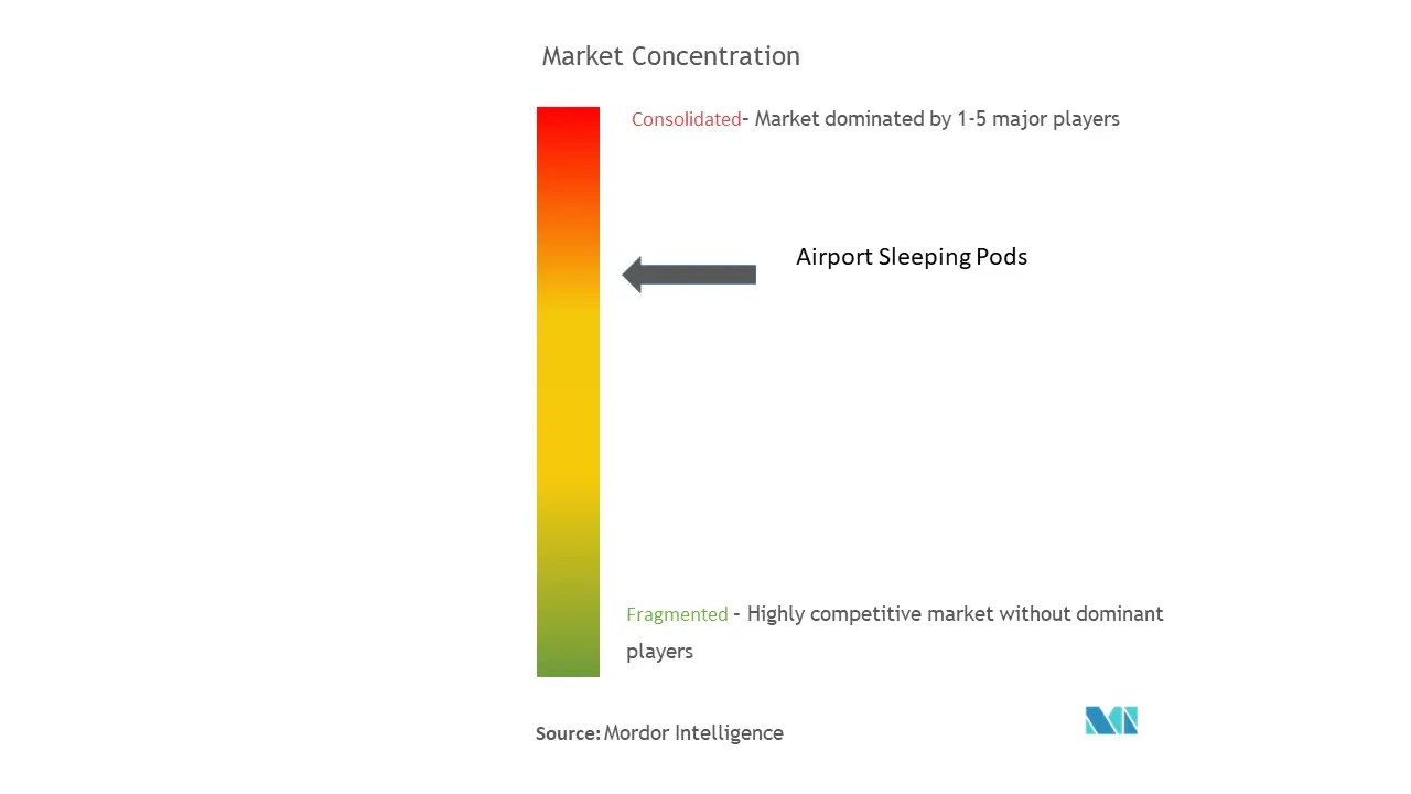 Airport Sleeping Pods Market Concentration