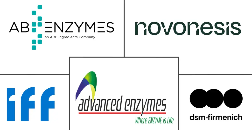 Major players in Alcohol Starch Sugar Enzymes industry