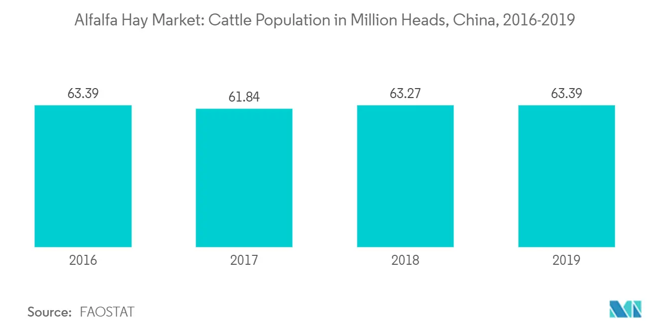 cattle production in China