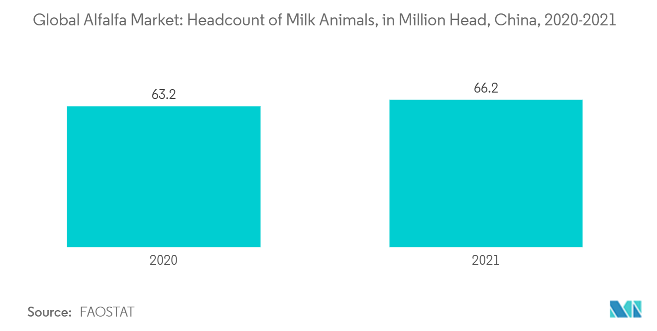 アルファルファの世界市場乳用動物の頭数（百万頭）、中国、2020-2021年