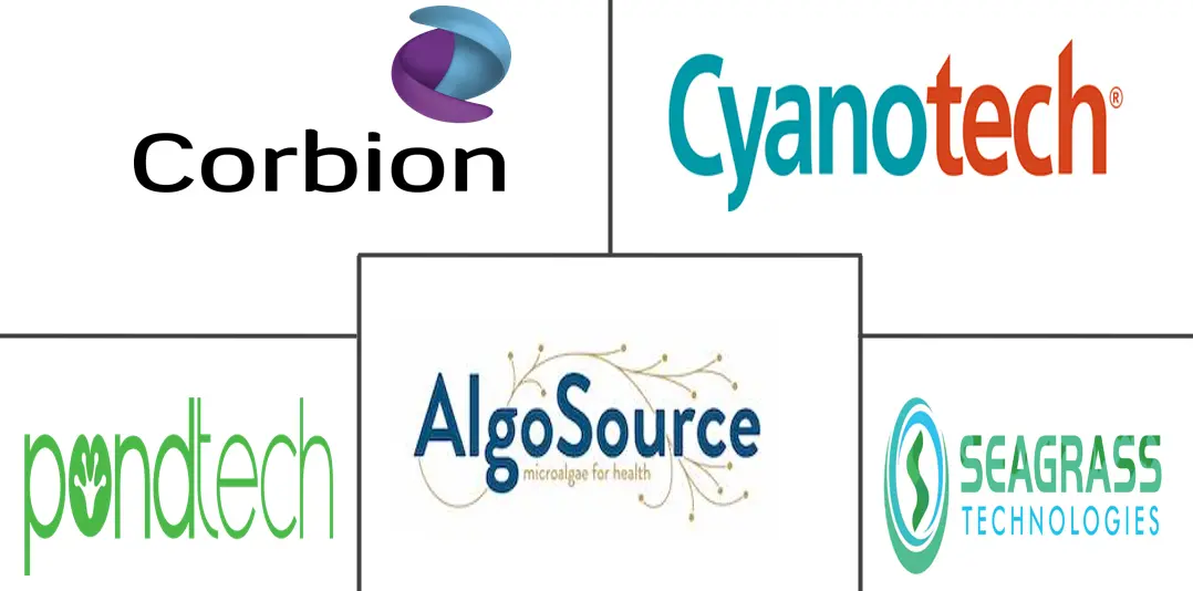 Related Companies Logo
