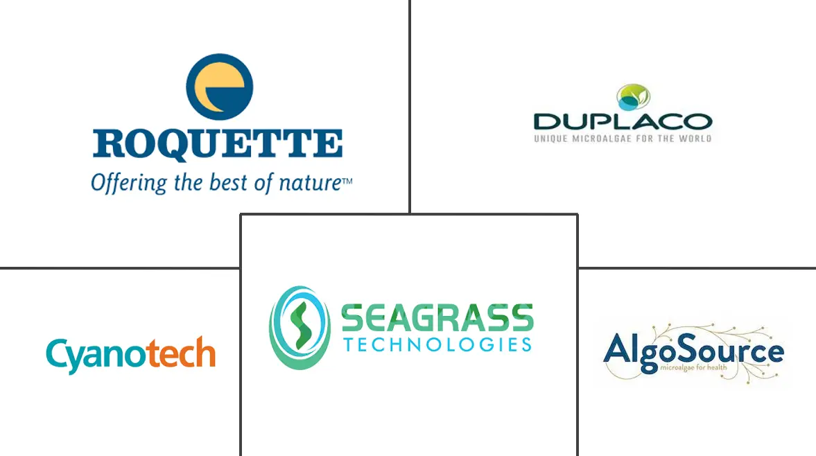 藻類タンパク質市場の主要プレーヤー