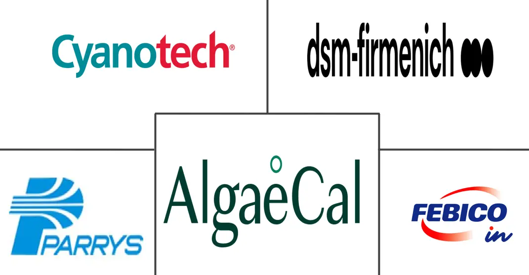 Related Companies Logo