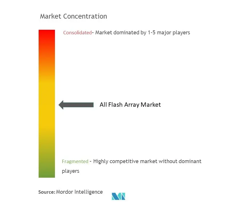 Concentración del mercado de matrices totalmente flash