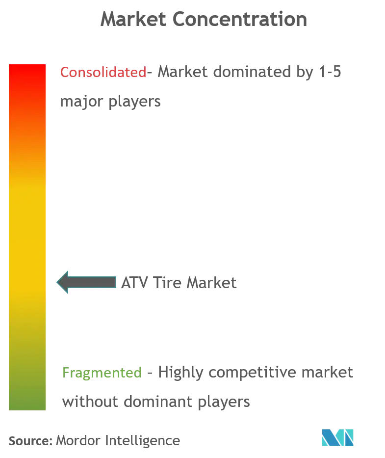 ATV Tire Market_Market Concentration.png