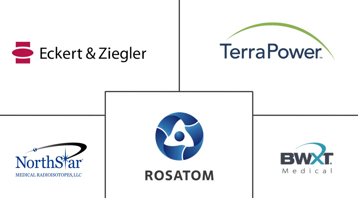 Major players in Alpha Emitters industry