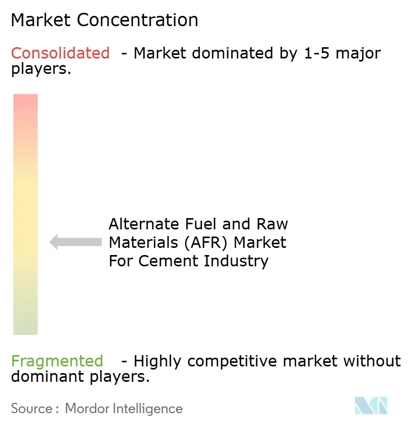 Alternate Fuel and Raw Materials (AFR) Market For Cement Industry Market Concentration