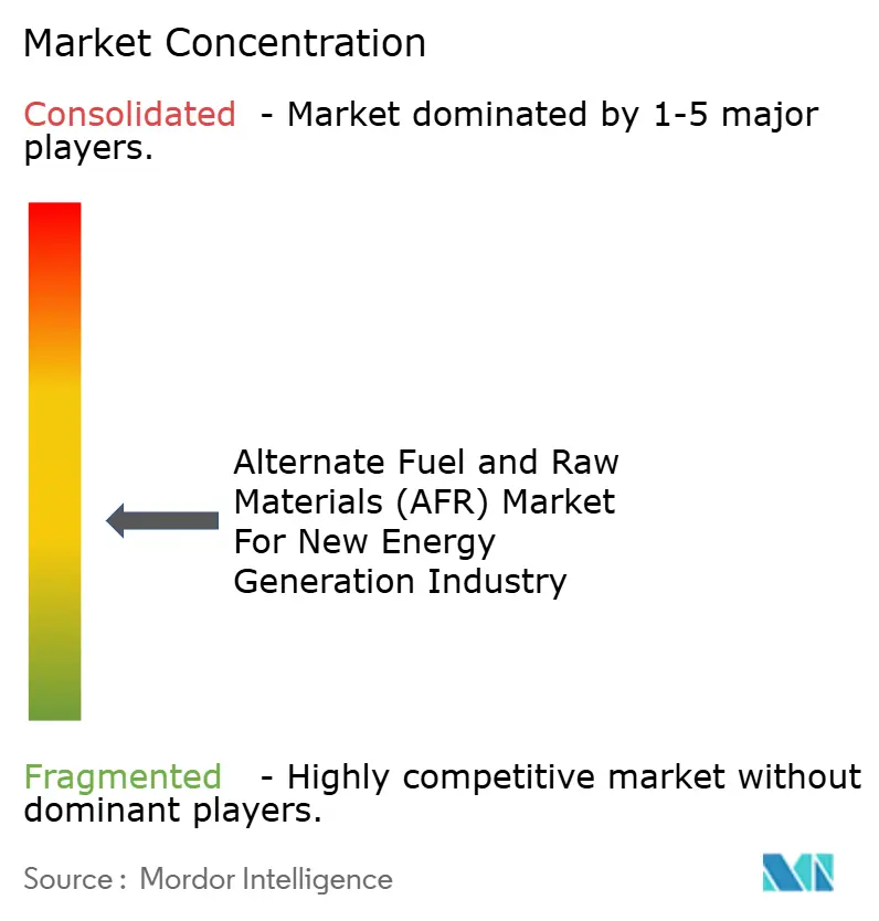 Alternate Fuel and Raw Materials (AFR) Market For New Energy Generation Industry Market Concentration