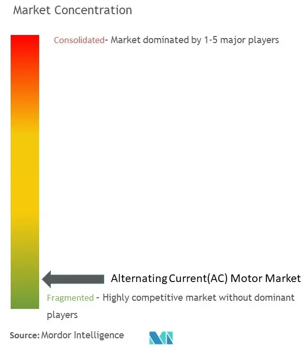 AC Motor Market Concentration