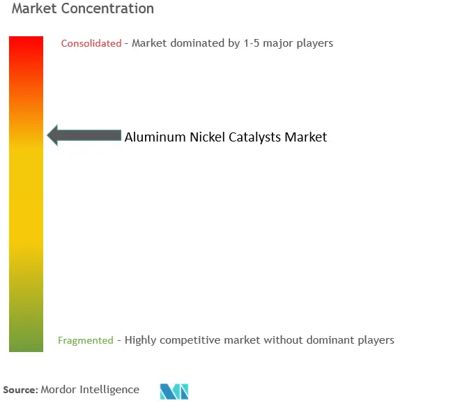 Aluminum Nickel Catalysts Market  Concentration