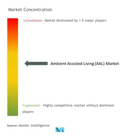 Ambient Assisted Living (AAL) Market Concentration