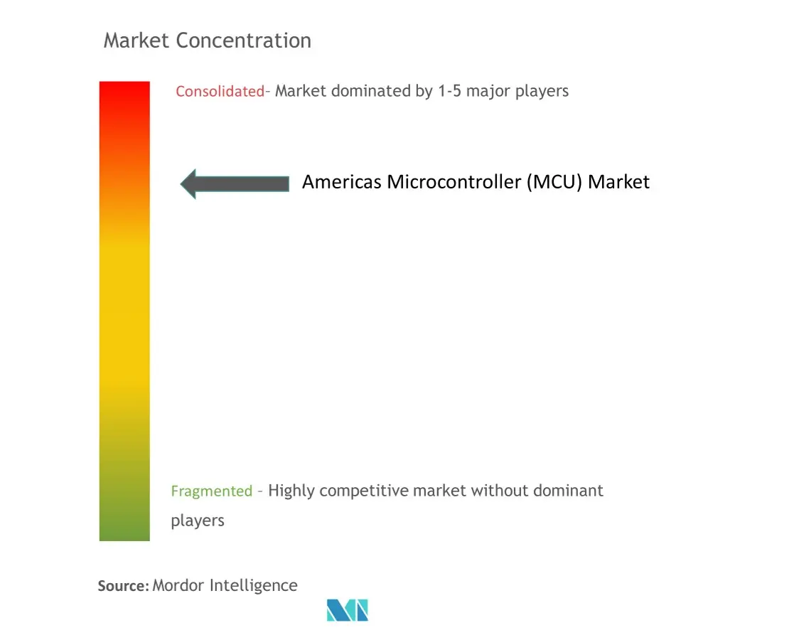 Americas Microcontroller (MCU) Market -  Market Concentration.jpg