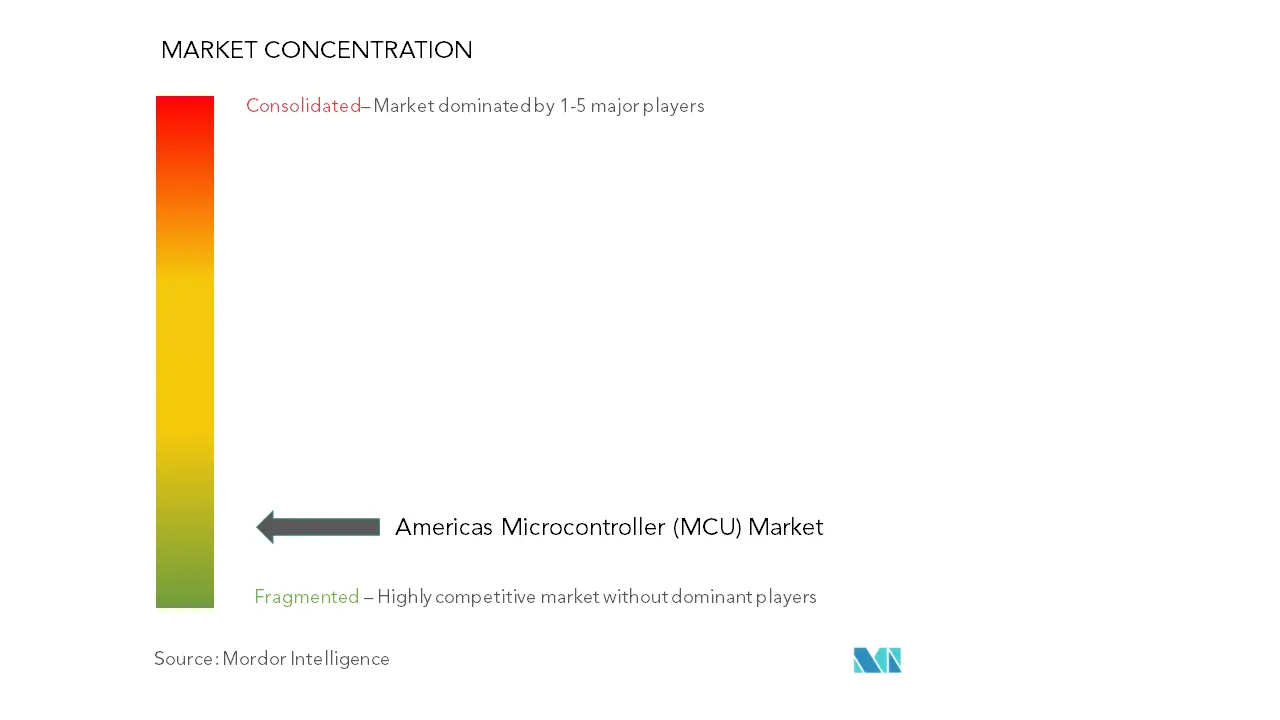 Americas Microcontroller (MCU) Market Concentration