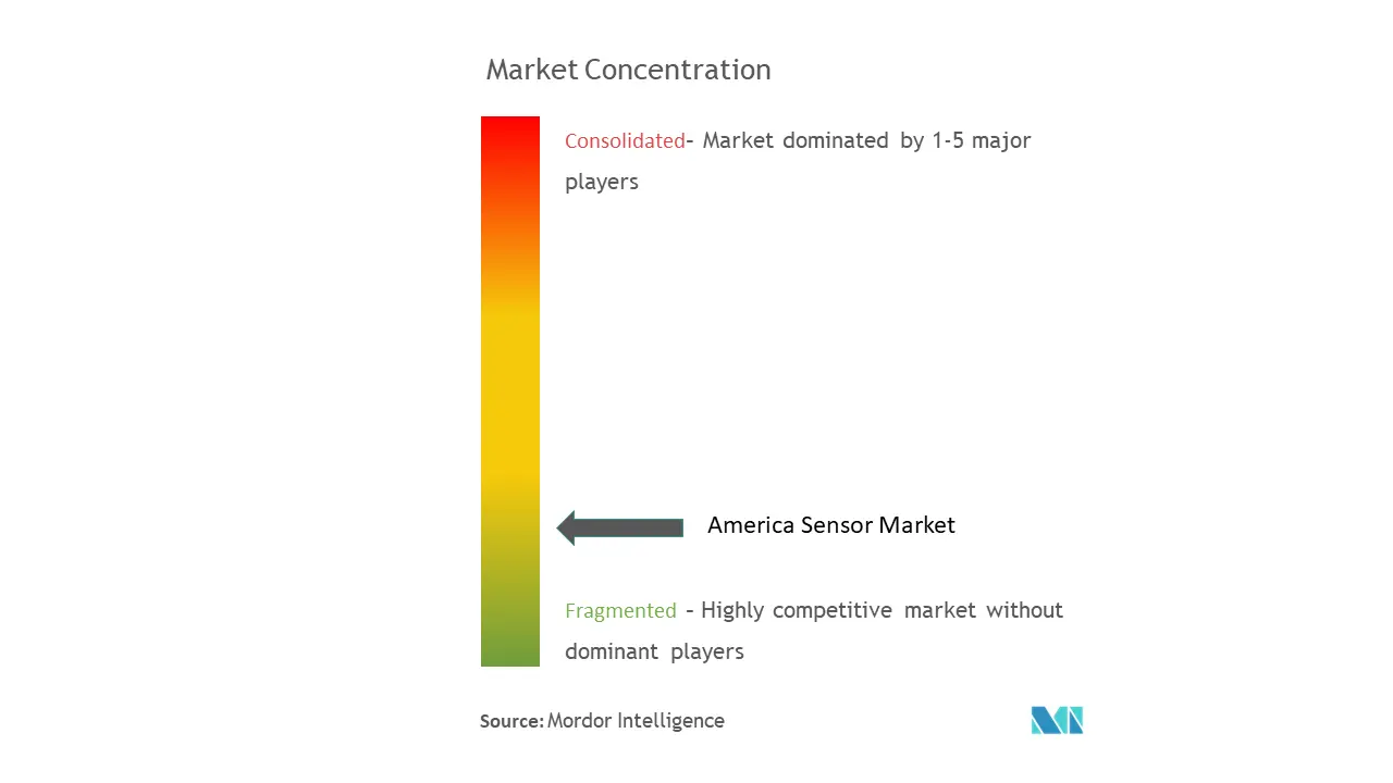 Americas Sensor Market Concentration