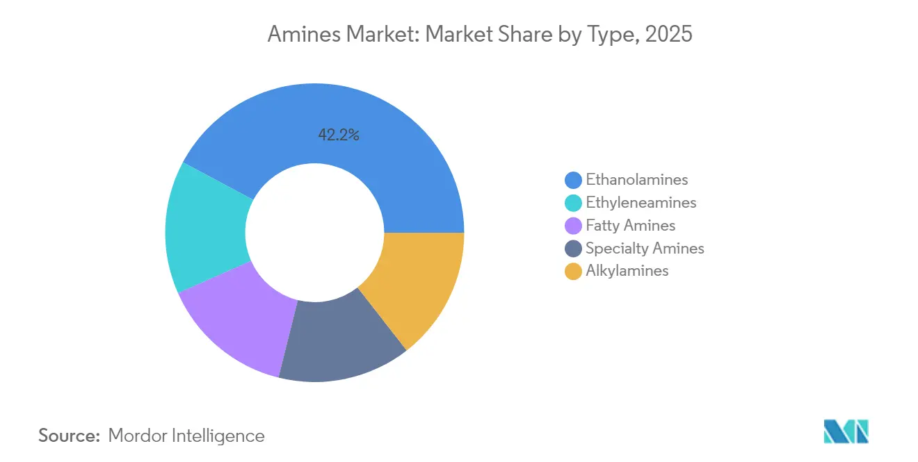 Amines Market: Market Share by Type, 2025