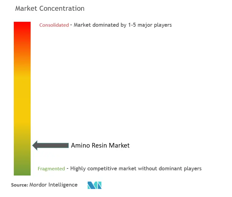 Amino Resin Market Concentration