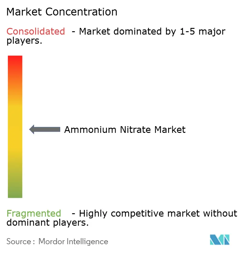 Ammonium Nitrate Market - Market Concentration