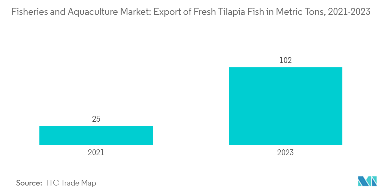 水産養殖市場：ティラピア鮮魚の輸出（メートルトン）（2021～2023年