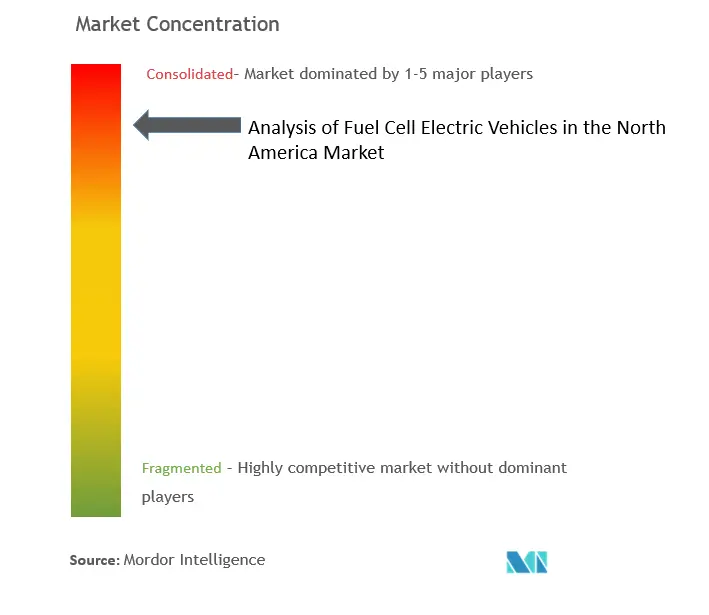 Analysis of Fuel Cell Electric Vehicles in North America Market Concentration