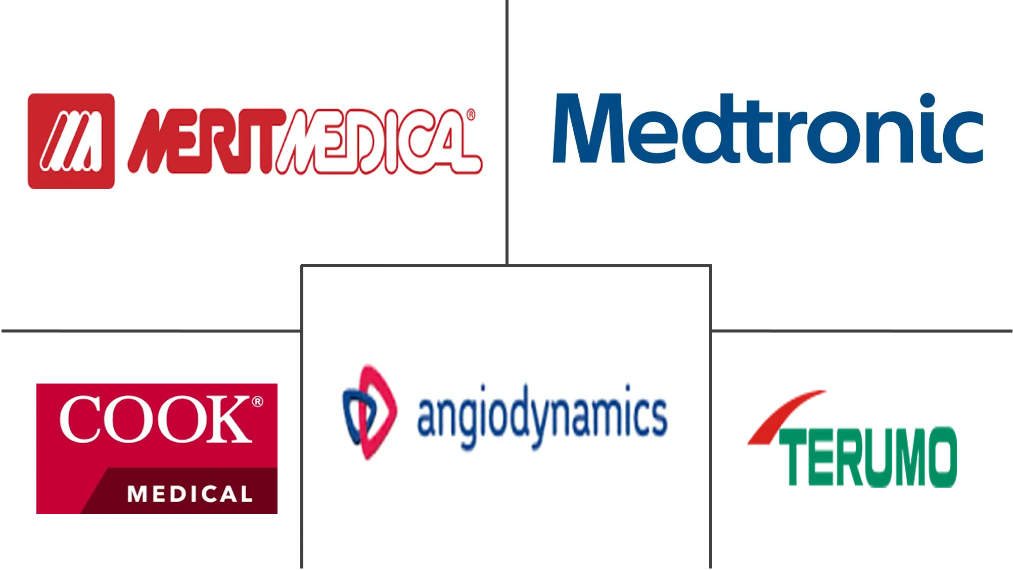  Globaler Markt für Angiographiekatheter Major Players
