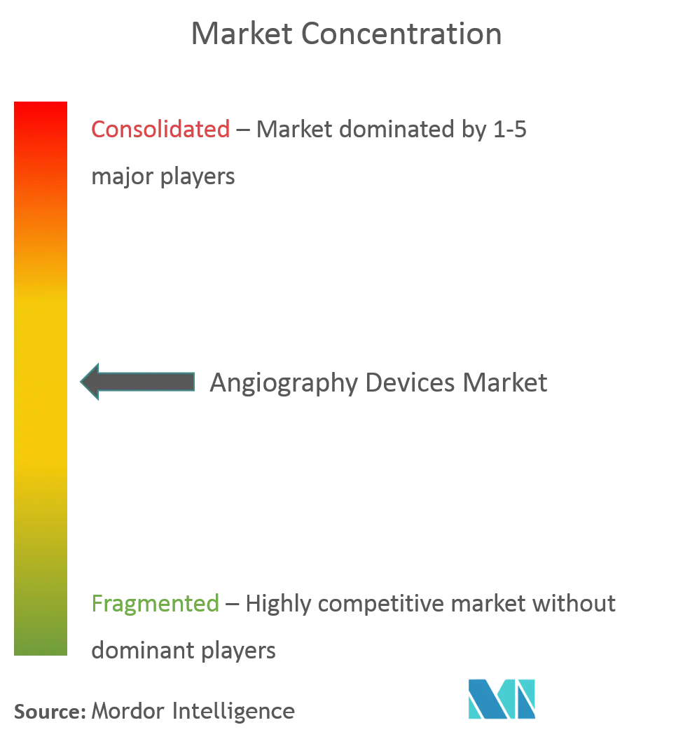 Angiography Devices Market Concentration