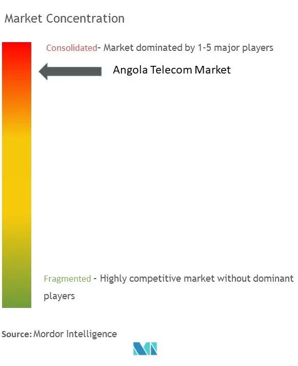 Angola Telecom Market Concentration